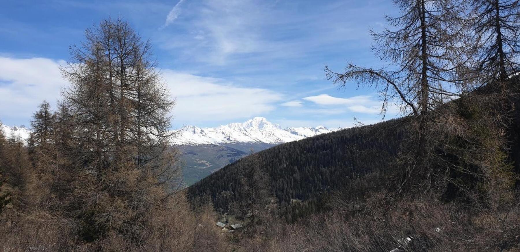 Residence Plagne Lauze - Maeva Home - Appartement 2 Pieces 5 Personnes - Confort Mae-9202 Macot-la-Plagne Dış mekan fotoğraf